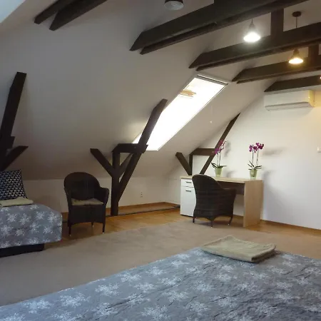 Velky V Rodinnom Dvojdome, Free Parking Apartman Kassa